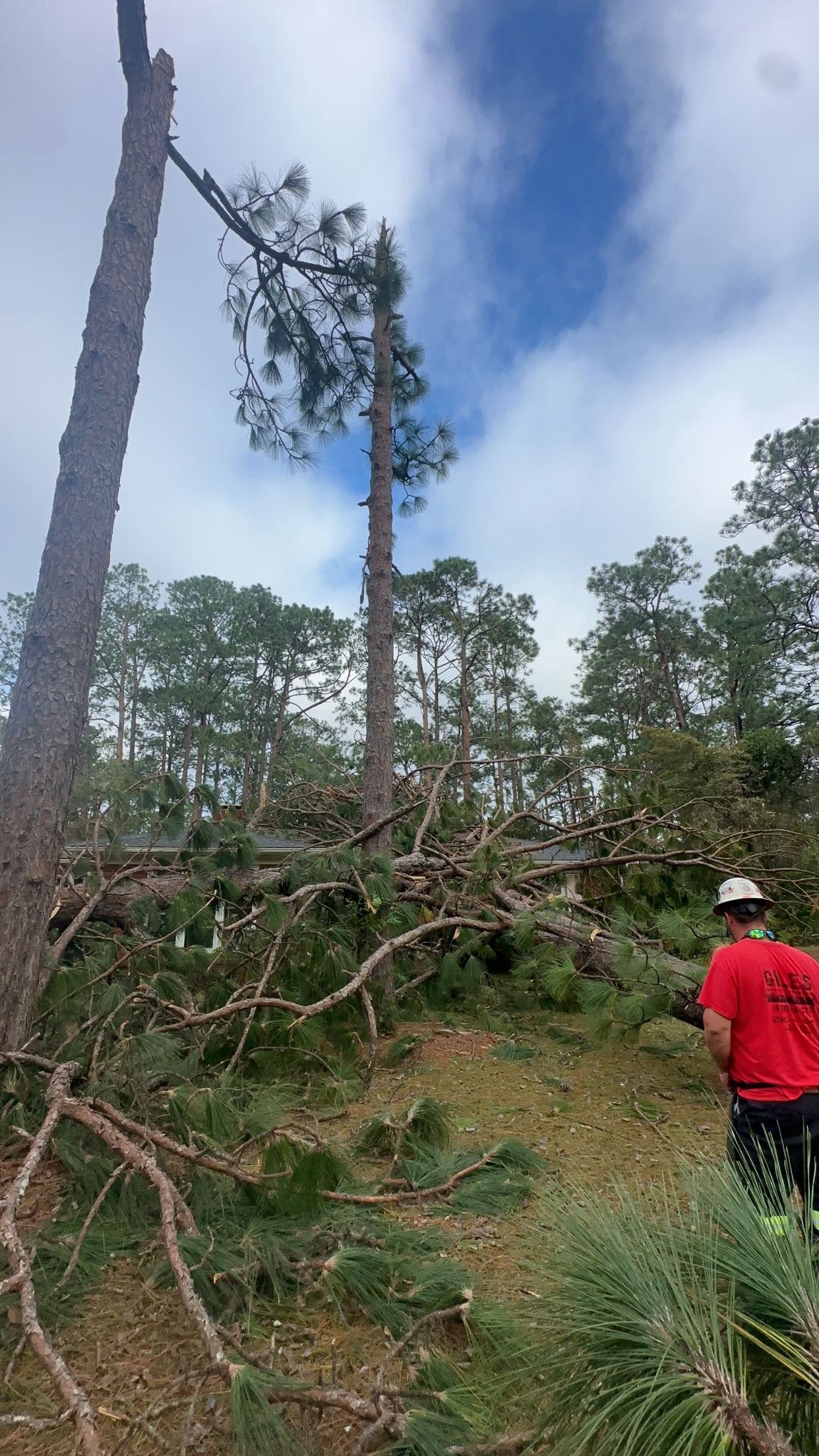 Tree removal and storm cleanup in progress in Warner Robins, GA