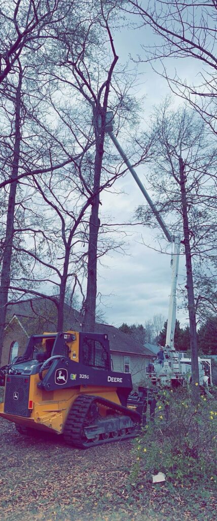 Stump grinder working in Marshallville, GA