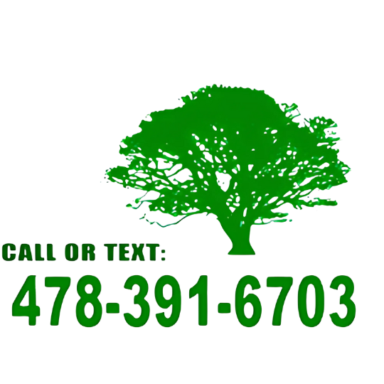 Tree Removal Near Me logo - large green tree silhouette with spreading branches and phone number in large font below 478-391-6703